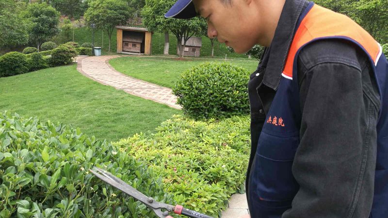 成都立体绿化公司怎么选，先看这五个行业真相