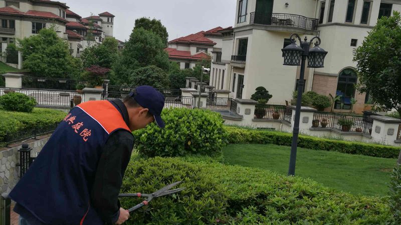 矿山边坡绿化定制设计：如何打造生态修复的绿色屏障**
