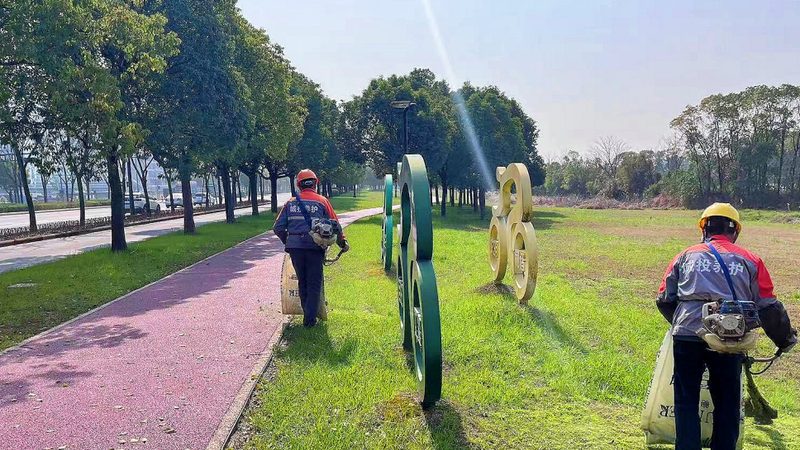 边坡绿化材料定制加工：因地制宜，打造生态美景**
