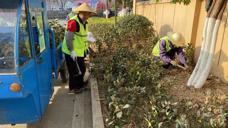 上海绿化工程报价清单：如何科学评估与决策**
