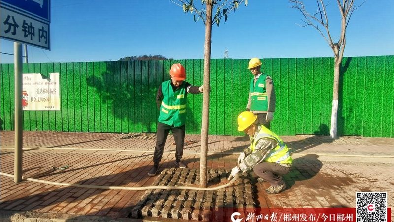 别墅花园景观设计：避坑指南，打造理想家园**
