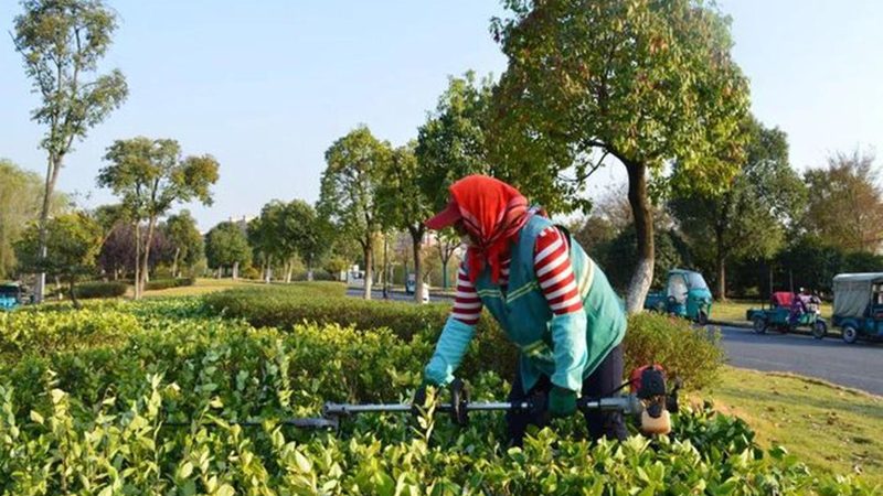 商业广场景观石材铺装：如何评估合理报价