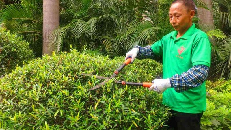 屋顶绿化价格一平方：揭秘成本构成与影响因素