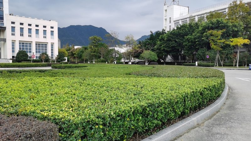 小庭院灯光布局，这五个参数最容易翻车