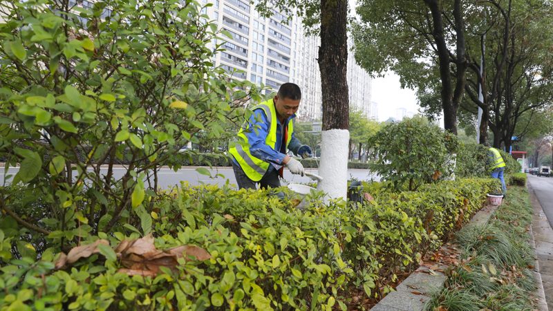 绿植租赁报价表：揭秘背后的考量因素**