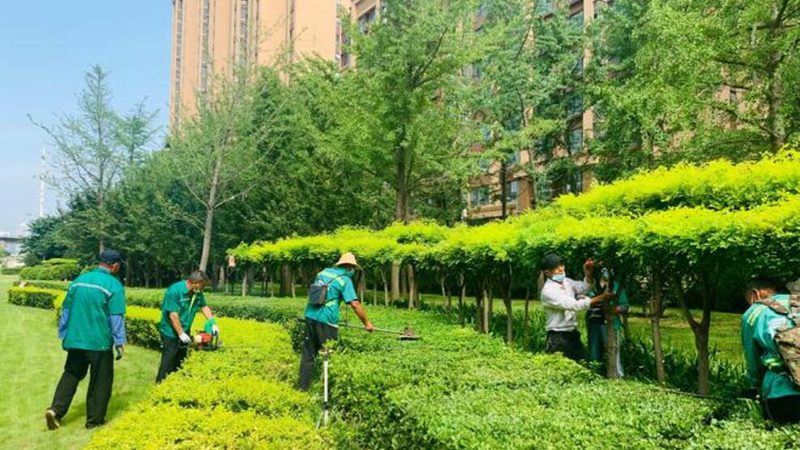 垂直绿化墙安装材料清单：揭秘构建绿色垂直空间的要素